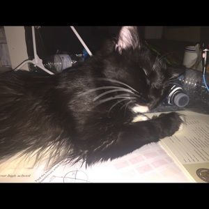 Meet your Posher, Melanie